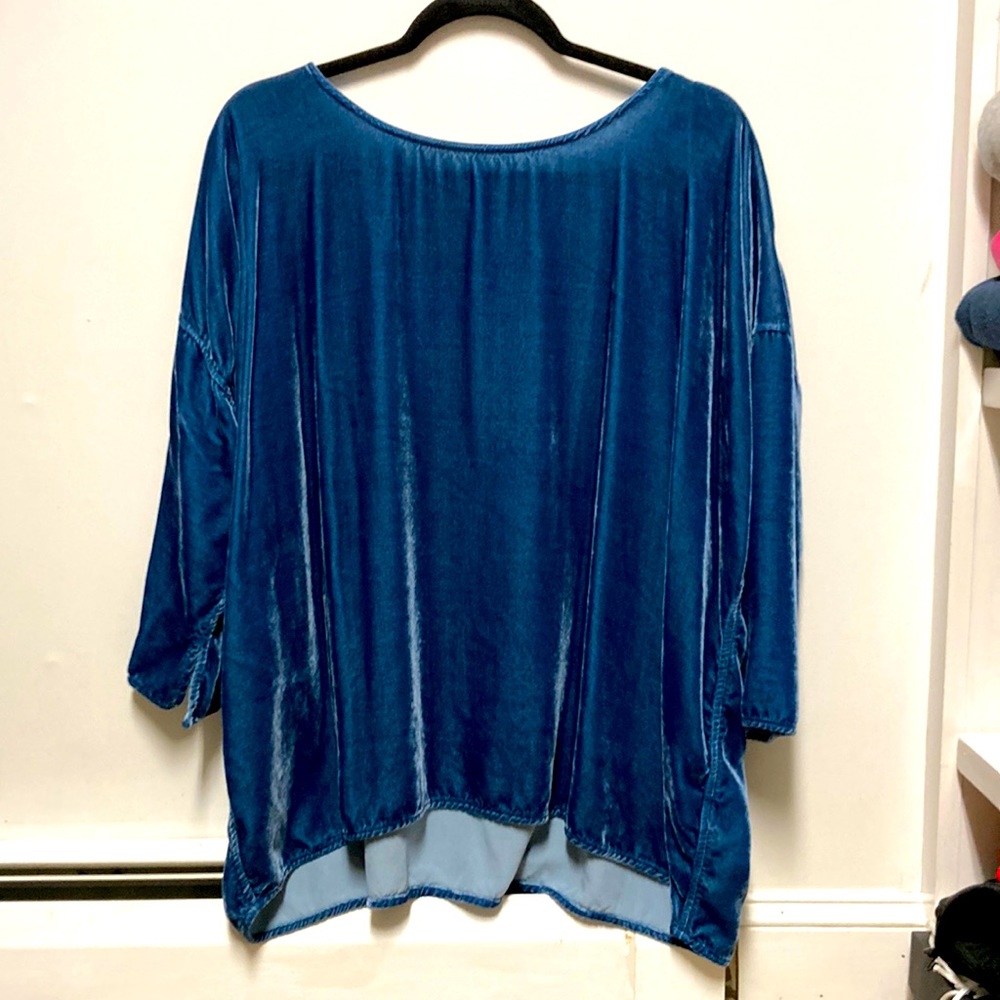 CP Shades velvet top